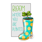 PCD Bloom Where You Are Planted