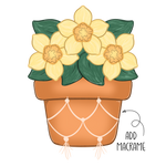 WHD Boho Daffodils Planter