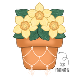 WHD Boho Daffodils Planter