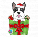 GMD Boston Terrier Christmas