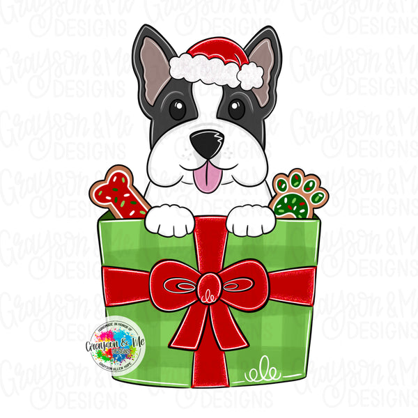 GMD Boston Terrier Christmas