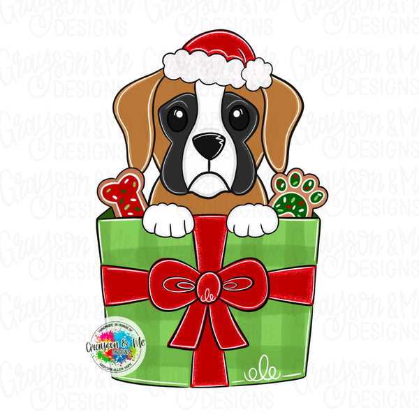 GMD Boxer Christmas