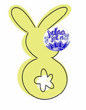 SSA Welcome Attachment Bunny