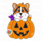 GMD Corgi Pumpkin