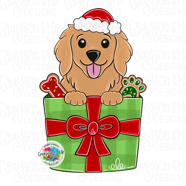 GMD Christmas Present Golden Retriever