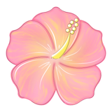 WHD Hibiscus Flower