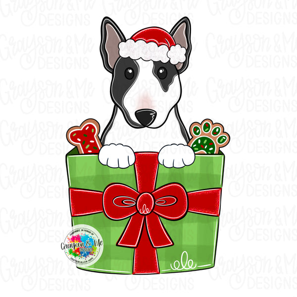 GMD Mini Bull Terrier Christmas