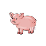 PCD Pig 1