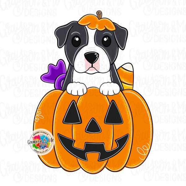 GMD Pitbull Pumpkin