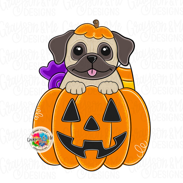 GMD Pug Pumpkin