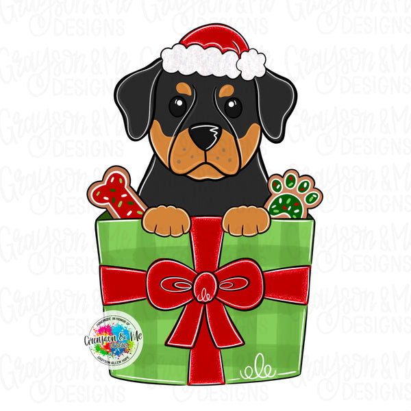 GMD Rottweilerr Christmas