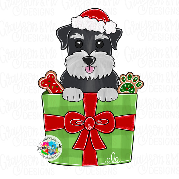 GMD Christmas Present Schnauzer