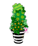 PCD Shamrock Topiary