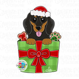 GMD Short Haired Dauchshund Christmas