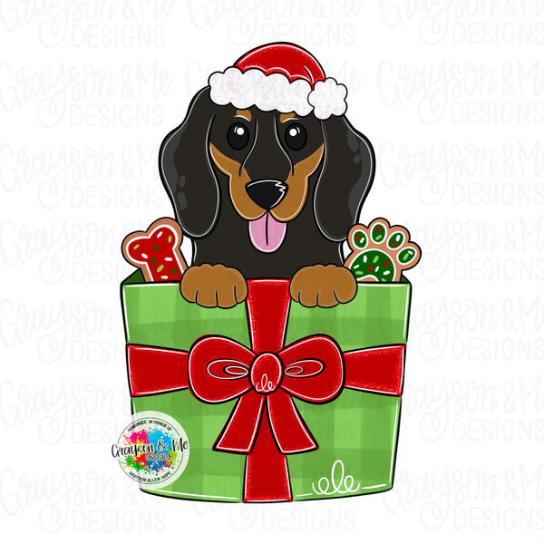 GMD Short Haired Dauchshund Christmas