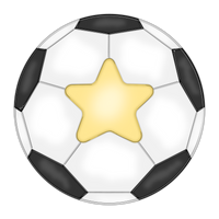 WHD Star Player Soccer Ball