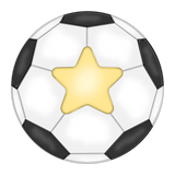 WHD Star Player Soccer Ball