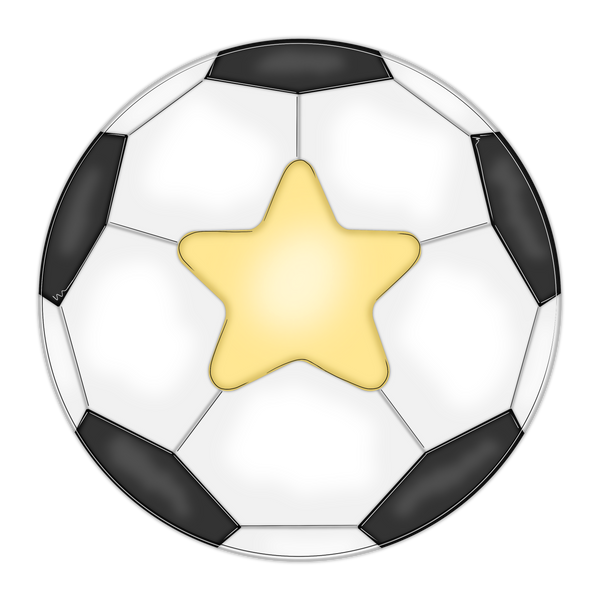 WHD Star Player Soccer Ball