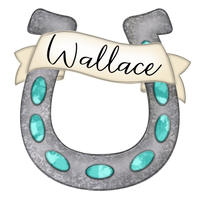 WHD Western Turquoise Horseshoe Banner