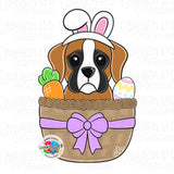 GMD Easter Boxer