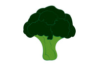 Broccoli Stalk 1