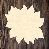CBK Chino Sunflower