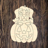 GMD Boxer Pumpkin