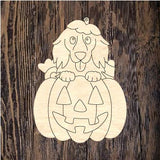 GMD Dachshund Pumpkin