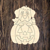 GMD Rottweiler Pumpkin