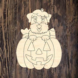 GMD Schnauzer Pumpkin