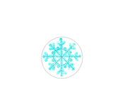 WWW Snowflake Attachment