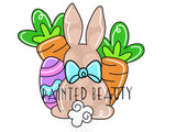 PBD Bunny Carrots