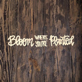 QMC Bloom Where You Are Planted Round