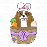 GMD Easter Cavalier Spaniel