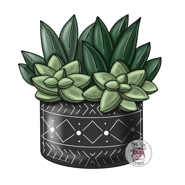 the boho succulent PCD Boho Succulent