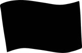 TTP Flag