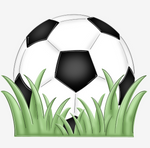 WHD Soccer Ball In Grass