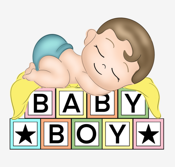 WHD Baby Boy Toy Blocks