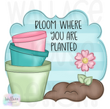 WHD Bloom Where You Are Planted