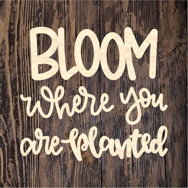 HCD Bloom Where You Are Planted 1