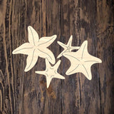 PCD Starfish Beach