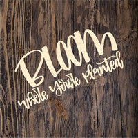 POP Bloom Where Youre Planted Flower 2