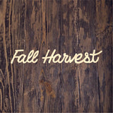 TCD Fall Harvest