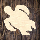 TCD Sea Turtle